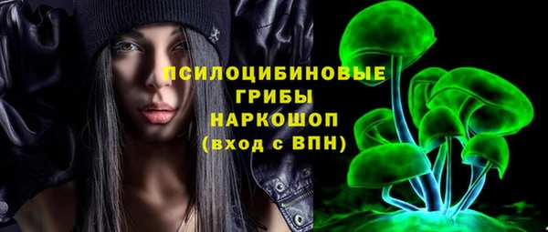 индика Баксан
