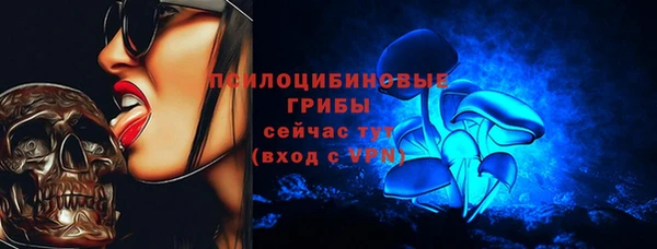 индика Баксан