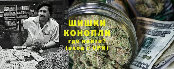 индика Баксан