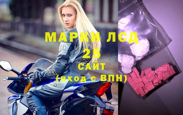 индика Баксан