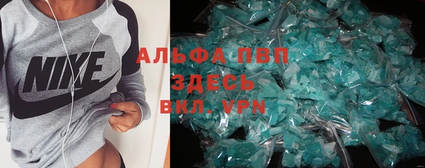 индика Баксан