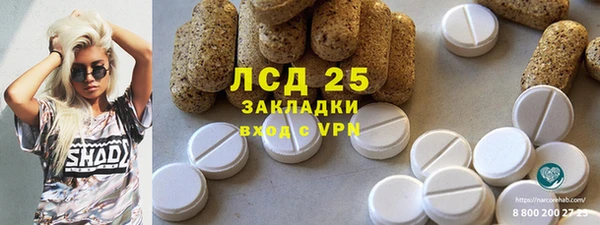 индика Баксан