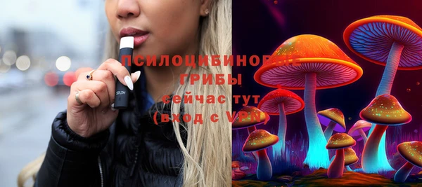 индика Баксан