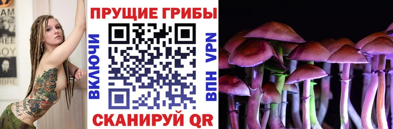 как найти наркотики Северо-Курильск Псилоцибиновые грибы Cubensis